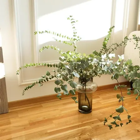 Apartman New&luxurious, Central&comfortable